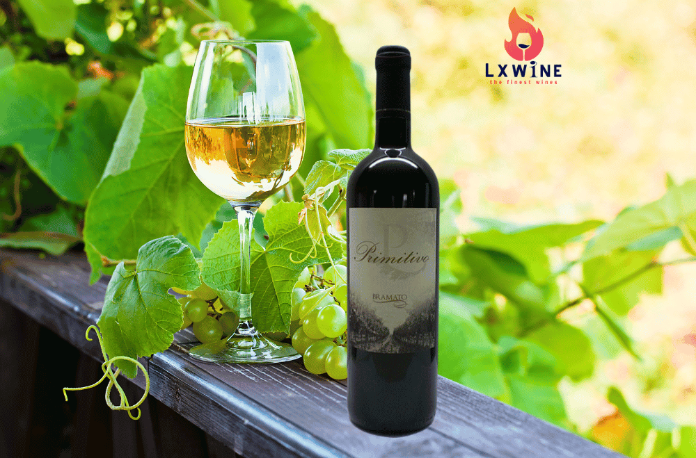 Vang Ý P Primitivo Bramato DUNG TÍCH: 750ML        SẢN XUẤT 